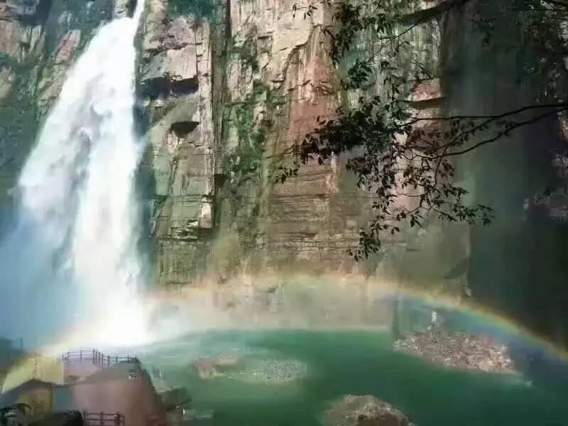 是否可以在社区建立食堂？游戏画面