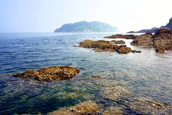 僵尸敲方块